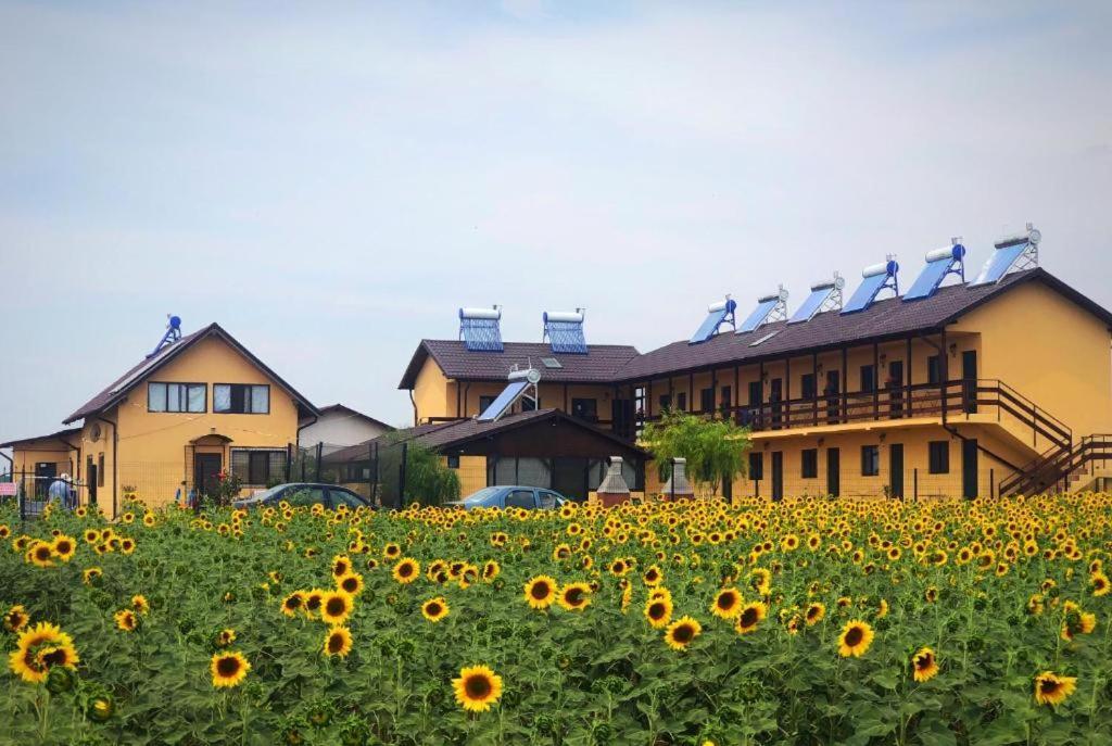 Casa De La Corbu Hotel คอร์บู ภายนอก รูปภาพ